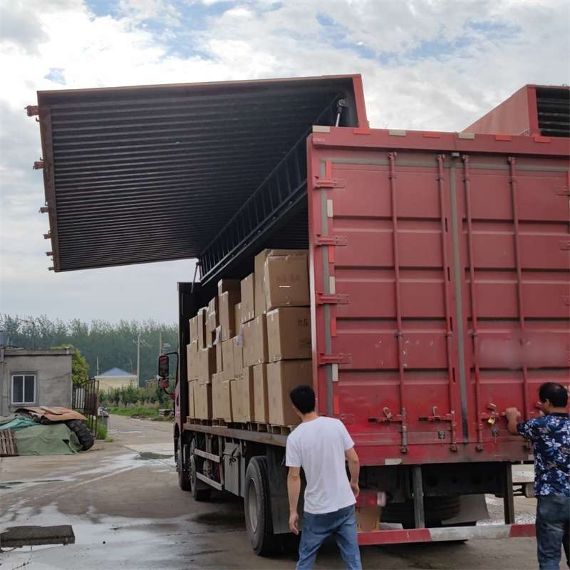 濉溪县扎囊县：物流专线的高效货运之旅